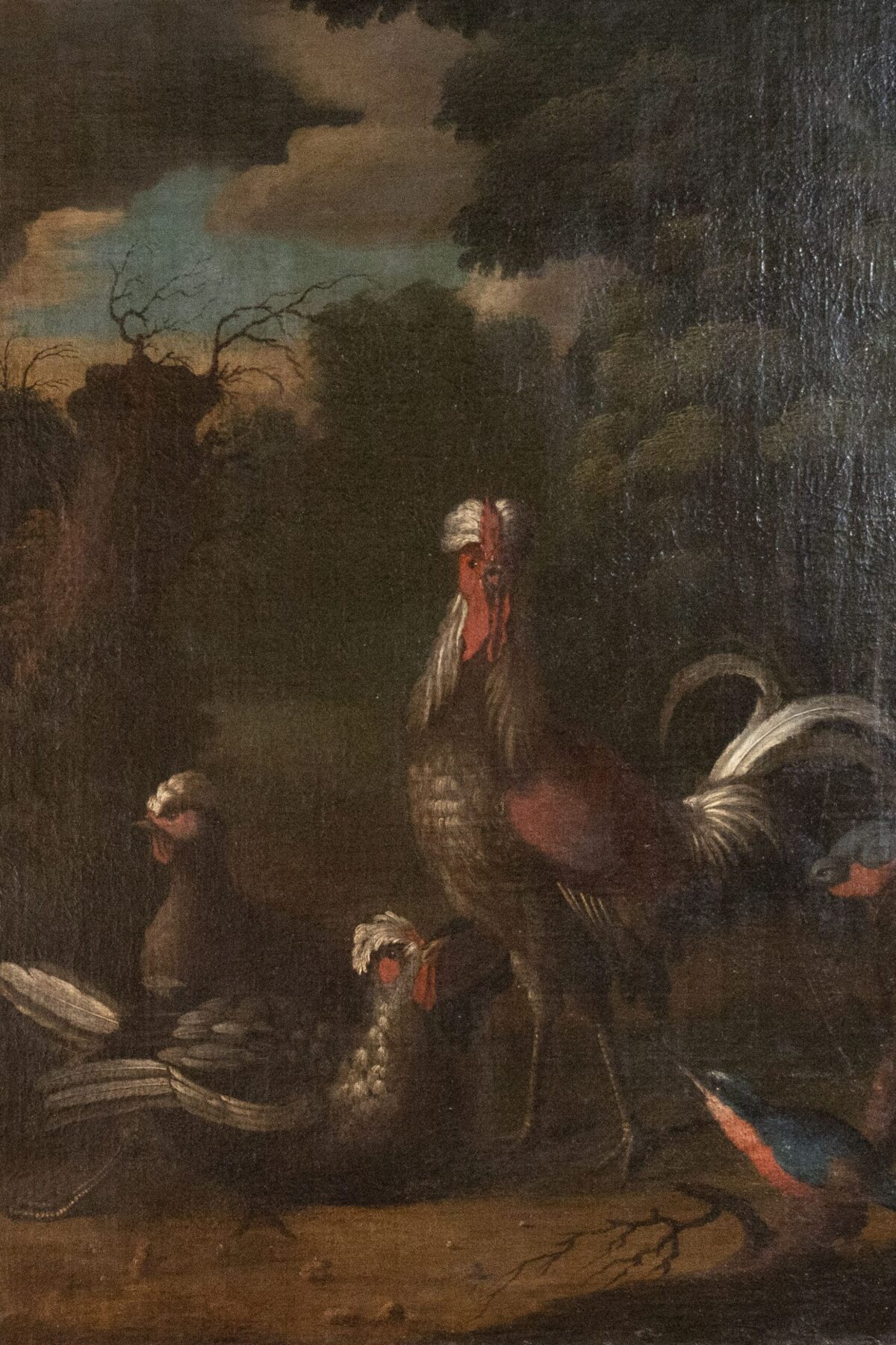 Paysages aux volailles et oiseaux – Image 2