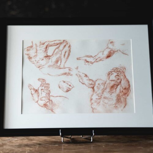 Étude anatomique à la sanguine