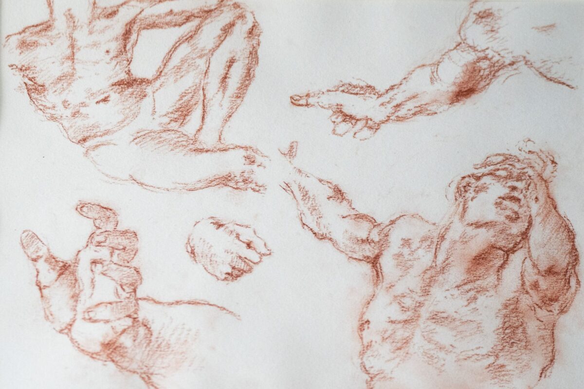 Étude anatomique à la sanguine – Image 2