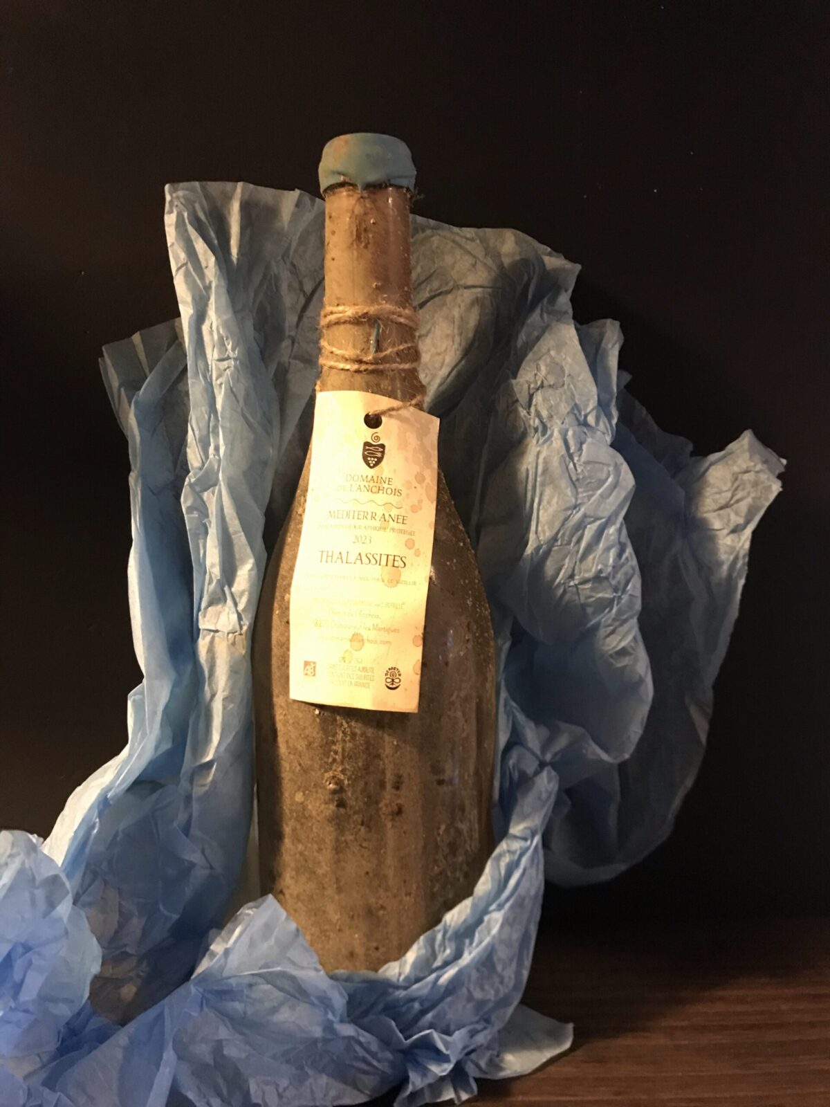 Thalassites