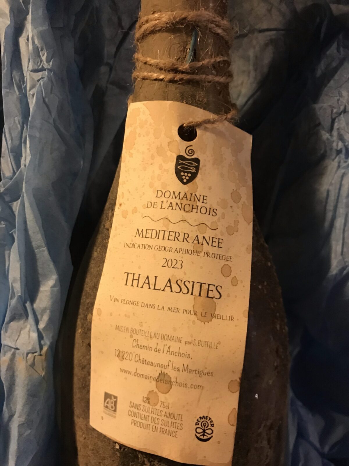 Thalassites