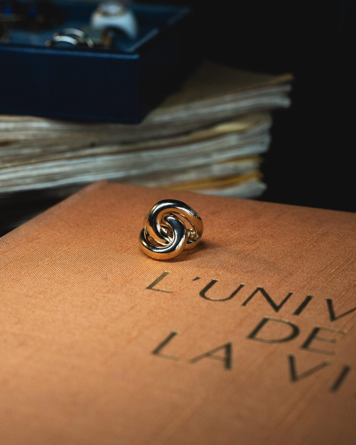 Gia – Image 3