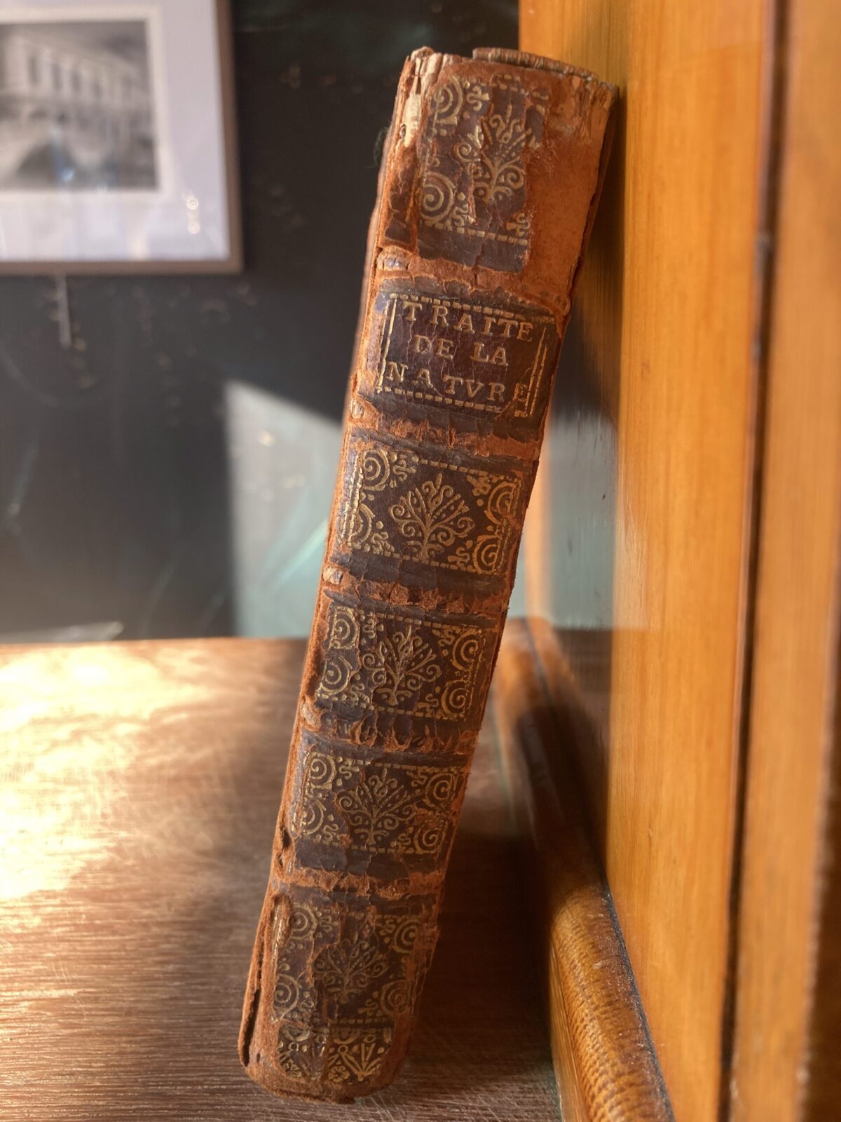 Malbranche - Traité de la nature et de la grâce - 1712 – Image 2
