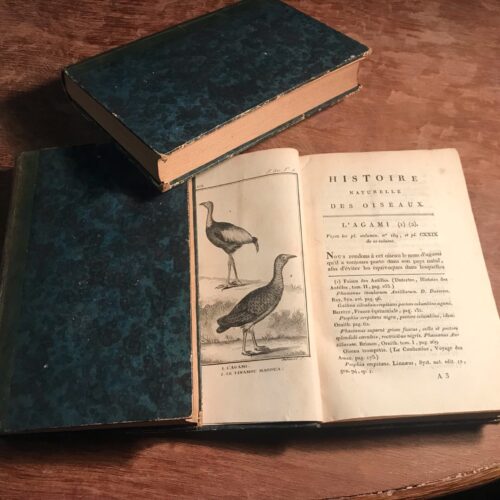 Histoire Naturelle – Buffon / Sonnini