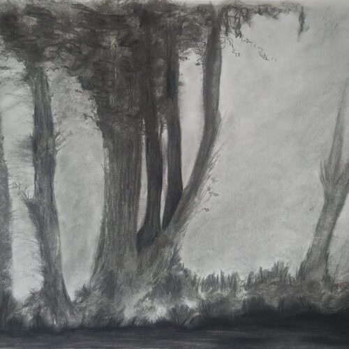 L’Étang – Claire Maillard