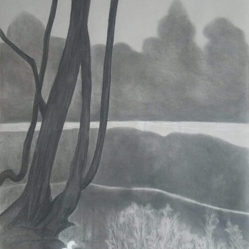 La Mare – Claire Maillard