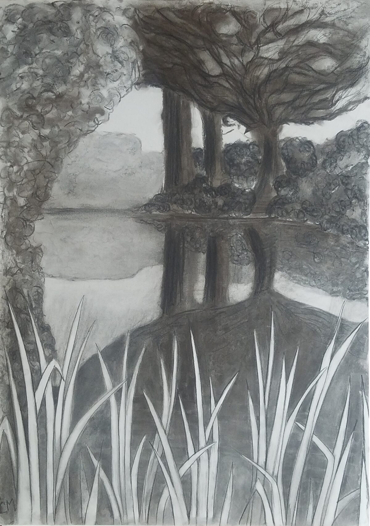 Le Bassin – Claire Maillard
