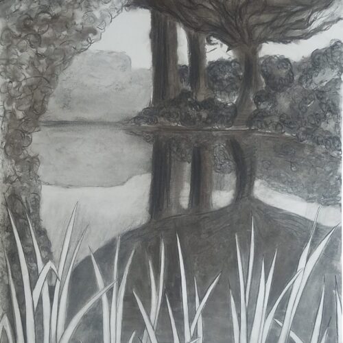 Le Bassin – Claire Maillard