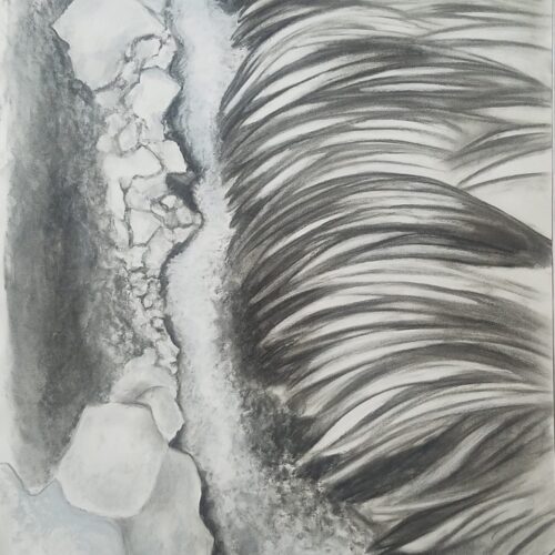 Le Ruisseau – Claire Maillard