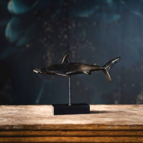 Requin-marteau en bronze