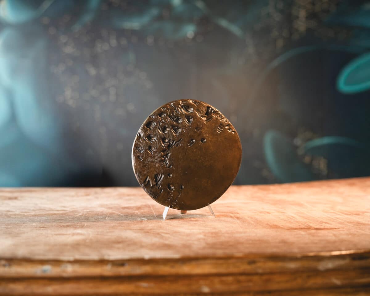 Médaille-sculpture en bronze – Monnaie de Paris