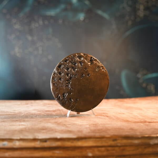 Médaille-sculpture en bronze – Monnaie de Paris