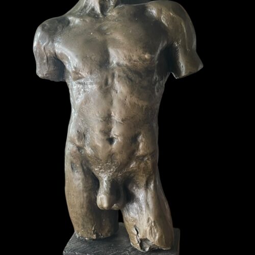 torse masculin