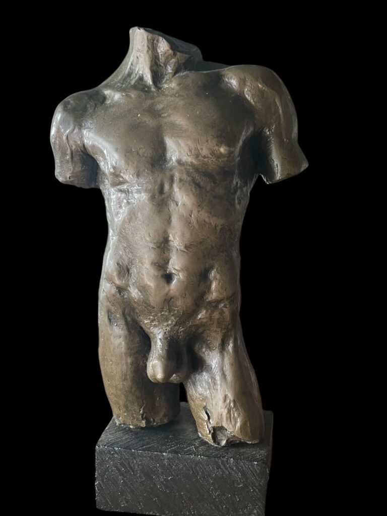 torse masculin